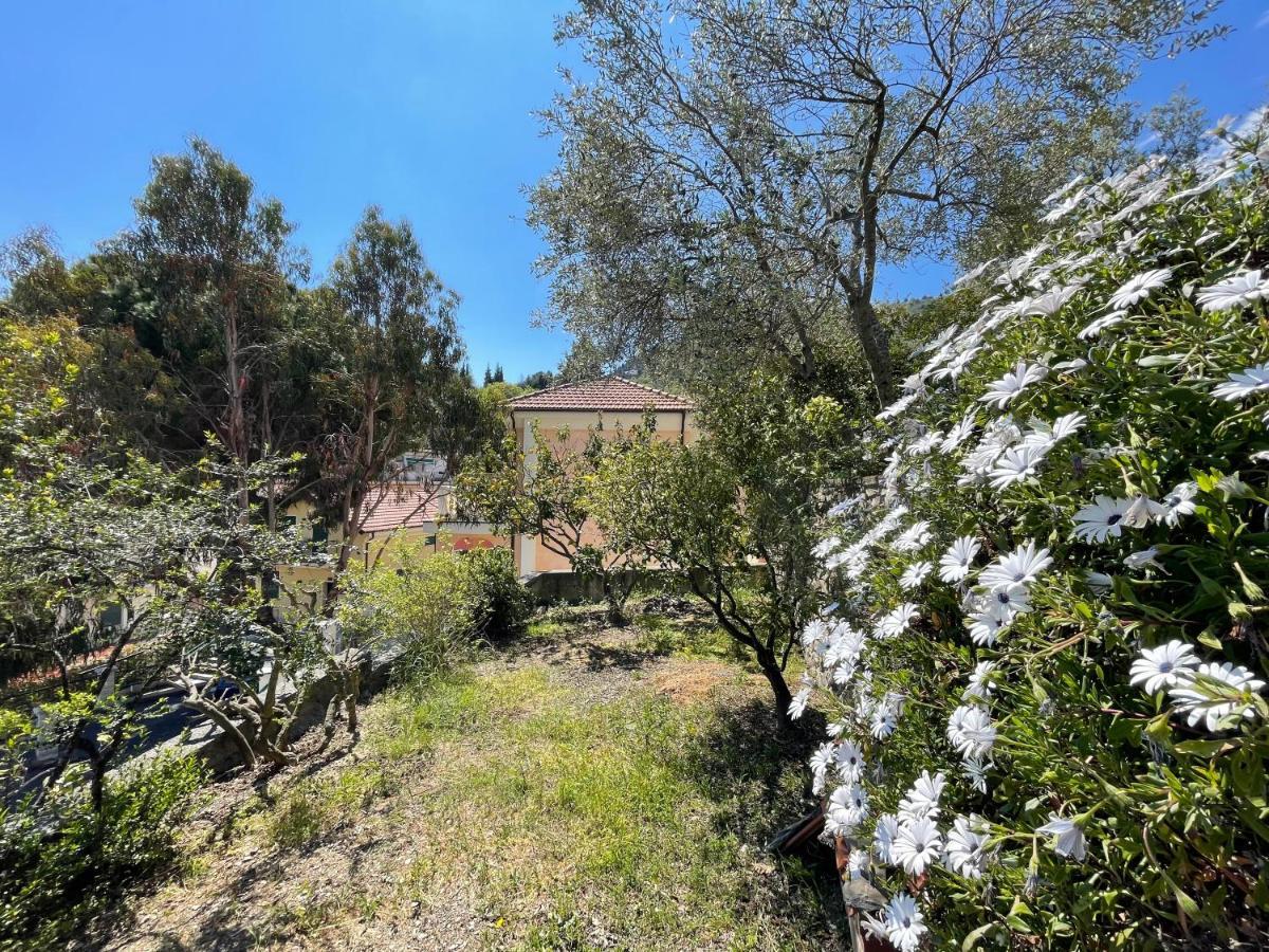 Guest house La Campagnetta *